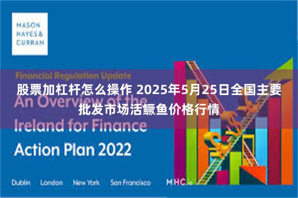 股票加杠杆怎么操作 2025年5月25日全国主要批发市场活鳜鱼价格行情