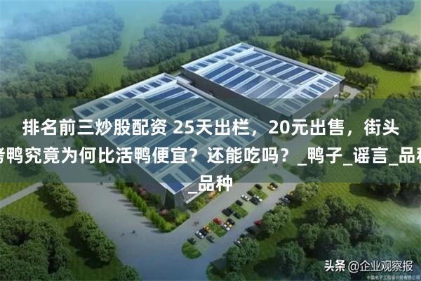 排名前三炒股配资 25天出栏，20元出售，街头烤鸭究竟为何比活鸭便宜？还能吃吗？_鸭子_谣言_品种