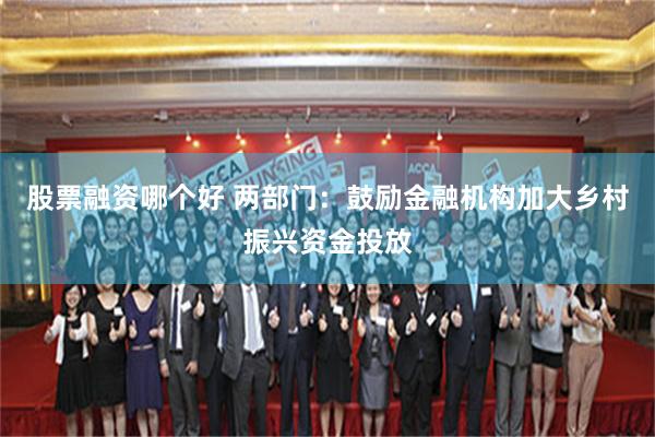 股票融资哪个好 两部门：鼓励金融机构加大乡村振兴资金投放