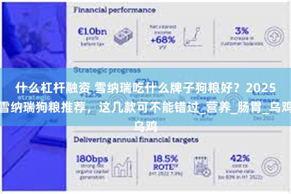 什么杠杆融资 雪纳瑞吃什么牌子狗粮好？2025雪纳瑞狗粮推荐，这几款可不能错过_营养_肠胃_乌鸡