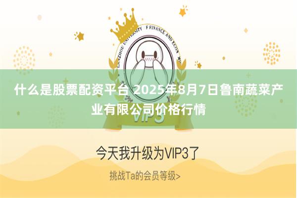 什么是股票配资平台 2025年8月7日鲁南蔬菜产业有限公司价格行情