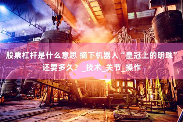 股票杠杆是什么意思 摘下机器人“皇冠上的明珠”还要多久？_技术_关节_操作