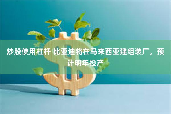 炒股使用杠杆 比亚迪将在马来西亚建组装厂，预计明年投产